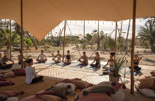 San Jose del Cabo Other | Crania Reclaim