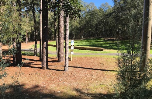 Holt RV Rental | Creek Waterfront Private RV Lot (3 minutes from interstate)