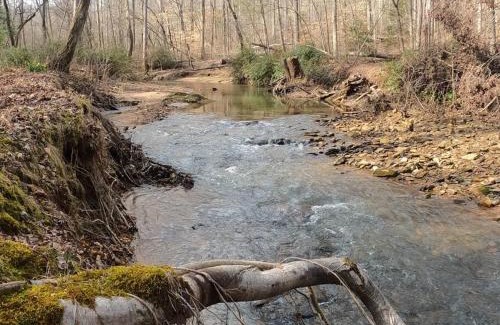 Dahlonega House | Creekside Cabin Hot Tub Near Wineries Sleeps 4
