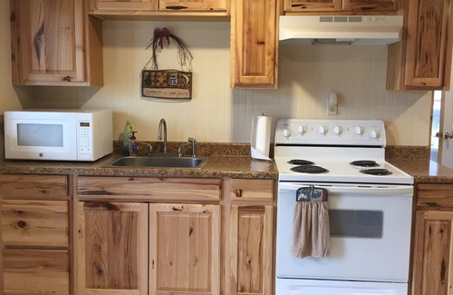 Carmen Cabin | Creekside Cabin near Salmon