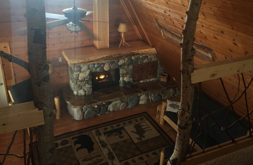 Carmen Cabin | Creekside Cabin near Salmon