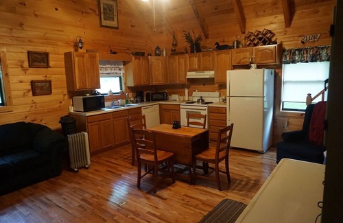 Hampton Cabin | Creekside Cabin, T Mobile hotspot, T Mobile and Verizon only phones work.n