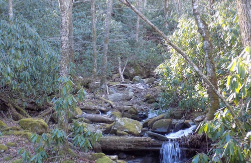 Sugar Mountain Ski Chalet | Creekside Chalet w/ Hot tub, Fireplace, and dedicated office