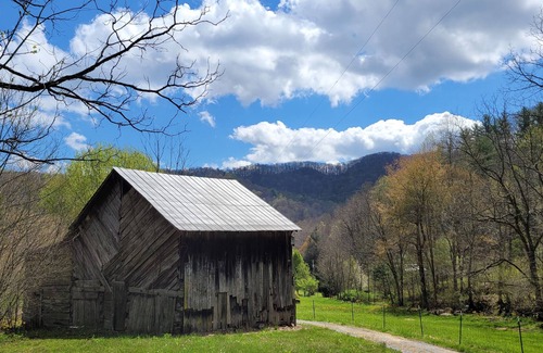Hot Springs House | Creekside Cypress Log Cabin on 17 acres!