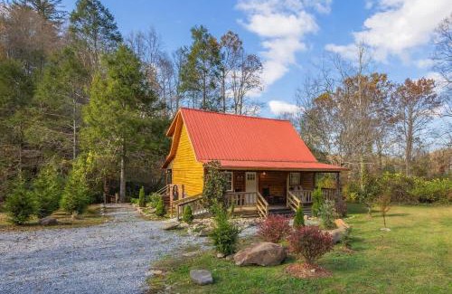 Cosby House | Creekside with views - jacuzzi firepit arcade