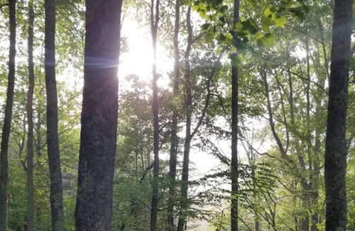 Celo Cottage | Creeksong Cottage Unique tranquil getaway