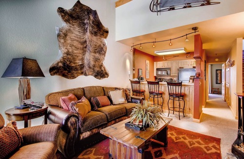 Crested Butte Condo | Crested Butte Mountain Resort