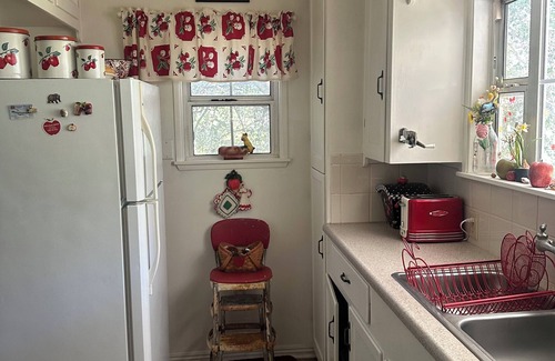 Julian Cottage | Cristine's Cozy Cottage in the Woods - Close to Town and Pet Friendly!
