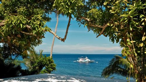 Dauin Hotel | Critter Republic Dive Resort