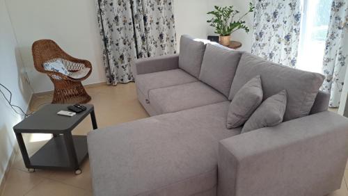 Sarsoni Apartment | Crni mačak