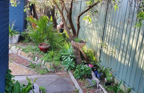 Cronulla Apartment | Cronulla - Charming, Quiet 1 Bedroom Apartment