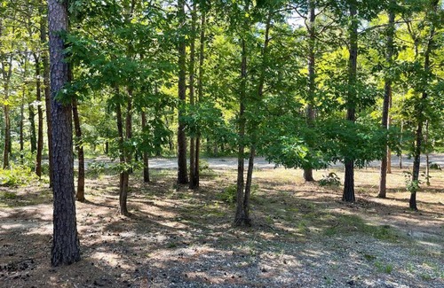 Pickens House | Cross Timbers Cabin on Private 12.5 Acres + Hot Tub