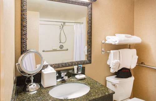 Dupont Hotel | Crowne Plaza Denver Airport Convention Ctr, an IHG Hotel