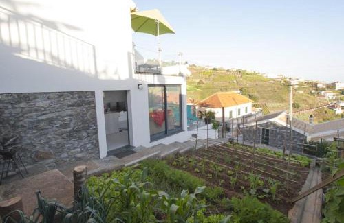 Lombo do Doutor House | Crystal House