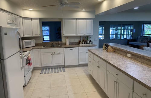 Springs at Kings Bay House | Crystal River Waterfront Island Oasis with 2 docks!