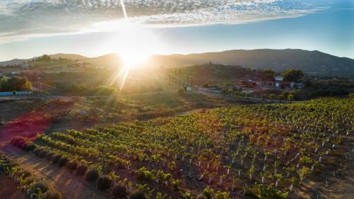 Valle de Guadalupe Hotel | Cuatro Lunas Hotel Boutique