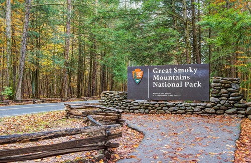 Black Bear Falls Cabin | Cub's Corner