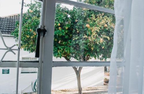 Drakenstein Bed & Breakfast | Cummings Guesthouse