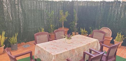 El Morche Apartment | Cupido Beach El Morche, Patio, Costa, Mar y Playa