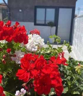 Monte Po-Nesima-San Leone-Rapisardi Apartment | Curia Apartment