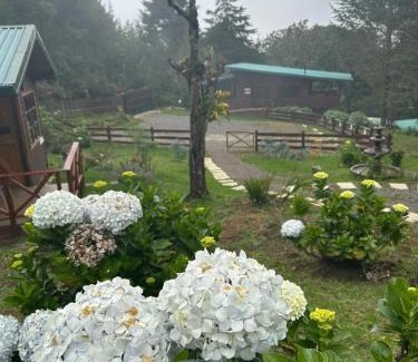 Canton Dota Cabin | Curuba Lodge