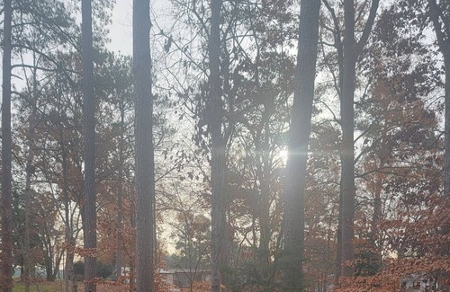 Durham House | Custom Built Oasis 5 minute to DT Durham! Hot tub! Hike to Eno River Trails!