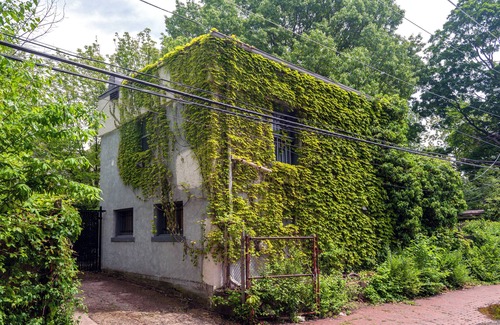 Detroit House | Cute 2 bedroom carriage house in historic district