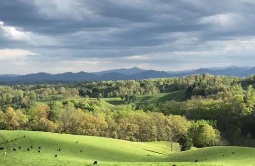 Marshall House | 🐶Cute Dog-Friendly Cottage w/Gazebo, Fire Pit, & Pond.+FREE Biltmore Pass🏰