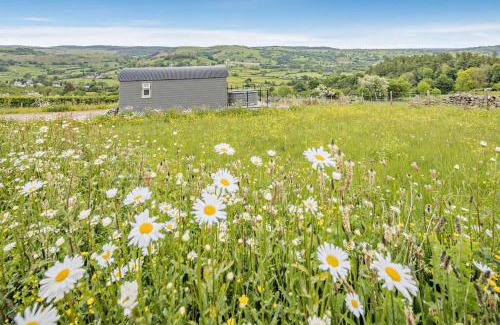 Llanfair Caereinion House | Cwt Eithin