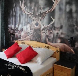 Zakopane Apartment | "CZARNA TURNIA"-Apartamenty