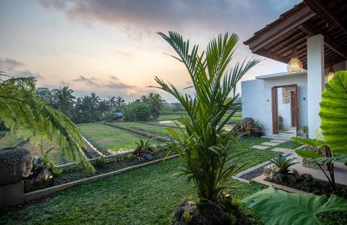 Kedewatan Hotel | d'Bulih Villa Ubud