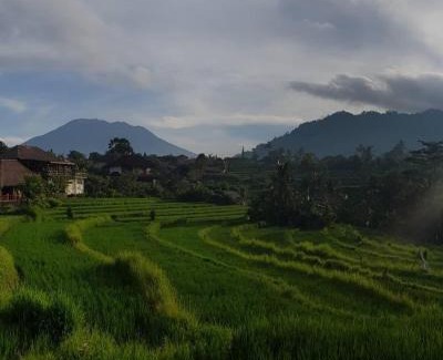 Sidemen Cabin | D'Janu Homestay