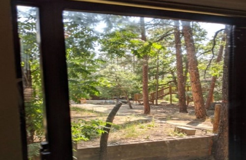 Prescott RV Rental | D1 Forest Cabin Goldwater Lake & Prescott Trails