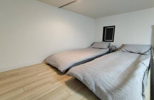 Okubo Apartment | D12新宿最中心 两室 新大久保站5分-2 rooms Shinjuku center 5 mins to ST Max 4P 新宿 涉谷 表参道 池袋 上野 代代木 银座 原宿