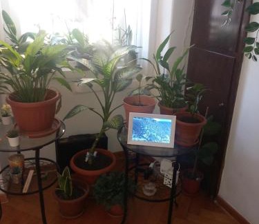Roiano-Gretta-Barcola-Cologna-Scorcola Apartment | Da Emma