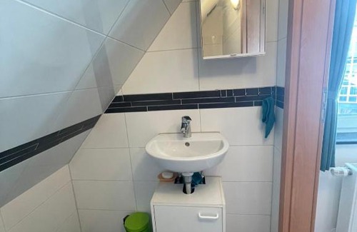 Ruesselsheim House | Dach Zimmer D1