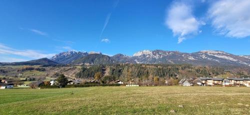 Haus im Ennstal Apartment | Dachsteinblick by Alpendyll Apartments