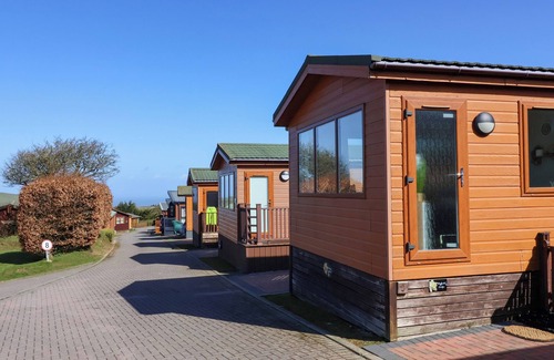Mullacott Cottage | Daffodil Lodge
