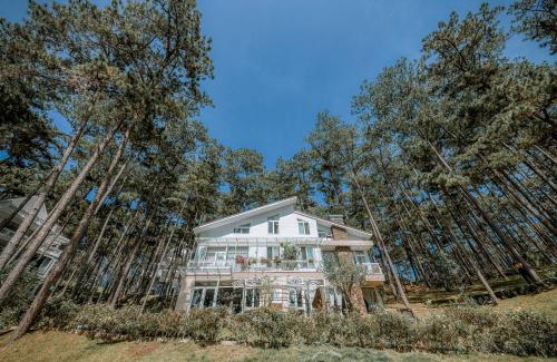 Da Lat Apartment | Dahlia Dalat