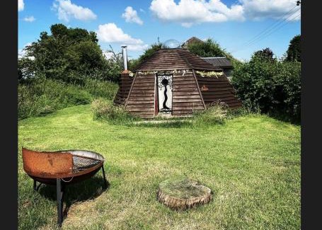Forest of Dean Other | daisy meadow