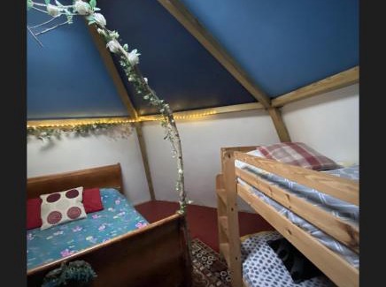 Forest of Dean Other | daisy meadow