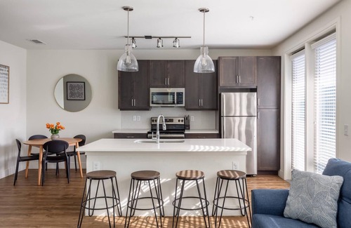 Northeast Dallas Apartment | Dallas Trendy 1BD 1BA Apartment