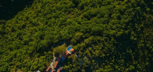 Slime Villa | Dalmatian Green Peak