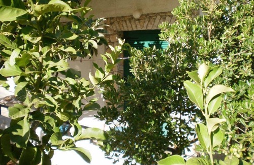 Kassiopi Apartment | Damaskis Studios a Small Complex in Kassiopi