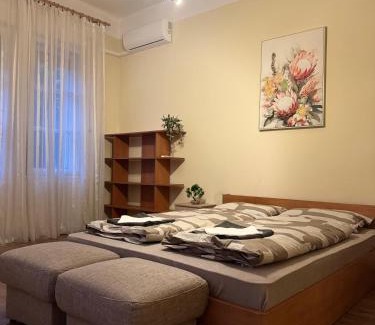 Szolnok Apartment | Damjanich Deluxe Apartman