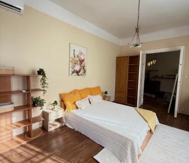 Szolnok Apartment | Damjanich Deluxe Apartman