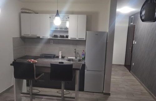 Sremska Mitrovica Apartment | DANICA
