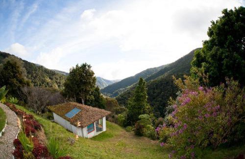 San Gerardo de Dota Bed & Breakfast | Dantica Cloud Forest Lodge