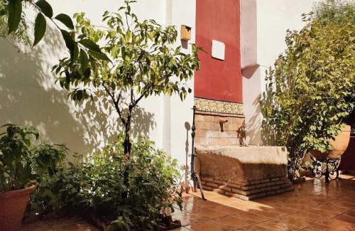 Albaicin Apartment | Dar Ar Nur Albaycin con patio