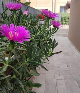 Ravenna Apartment | Darsena b&b tra arte e mare
